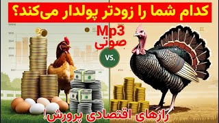 رازهای اقتصادی = کدام پرنده شما را زودتر پولدار می‌کند؟ مرغ یا بوقلمون؟ 🤑