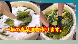 【高菜塩漬け】(一年高菜漬物)#せんちゃん農業