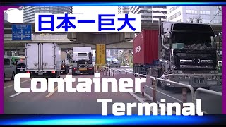 日本一最大💥大井コンテナ埠頭【2/2】１号↔７号バース間ドライブ案内！東京国際コンテナターミナル🚍Container Terminal Tokyo Japan