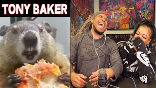 TONY BAKER ANIMAL VOICE OVERS ARE HILARIOUS!