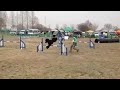 2013年3月10日 アジリティー吉見運動公園 ディップ君 jp1