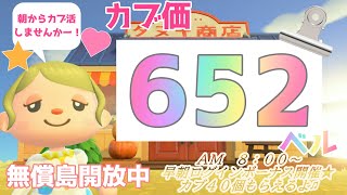 カブ価652ベル 島開放中！ あつまれどうぶつの森