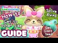 Access other side MERRY MEADOW | GIANT SEED | Hello Kitty Island Adventure