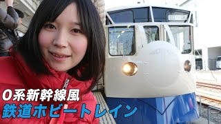 鉄道ホビートレインを見てきた。