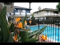 Sunnyvale Home For Rent - 2 Bed 1 Bath - by Property Management in Sunnyvale, CA