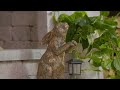 Lark   Meadow BronzeFinish Bunny Statue with Solar Lantern Learn More