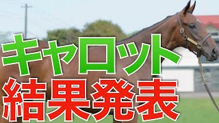 【全頭満口】キャロットクラブの1次募集結果発表が来た！新規に回ったのはどの馬か。【一口馬主】