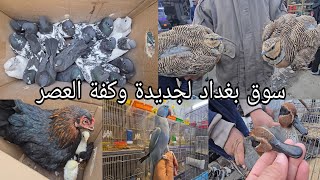 سوق بغداد لجديده وكفة العصر اهل الكراتين والخانات والجنابيزيوم الاحد2025/1/26