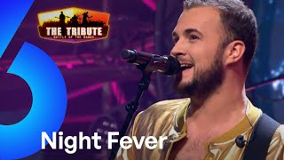 Night Fever - Bee Gees Forever | The Tribute