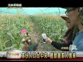 雲林新聞網 家扶人自台中來 體驗農家人情樂