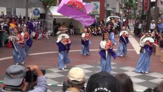 横浜よさこい祭り～良い世さ来い～えん舞連１