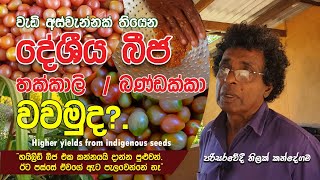 වැඩි අස්වැන්නක් තියෙන දේශීය බීජ - Thilak Kandegama / Higher yields from indigenous seeds