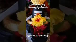 అతి శక్తివంతమైన రుద్ర మంత్రం#rudramantra #shorts #lordshiva