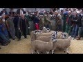 Hawes Auction Mart Monday 16th Sept 13