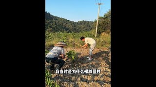 你们觉得我这个选择正确吗？#自媒体创业  #老家是疲惫生活的解药 #记录真实生活 #返乡大学生