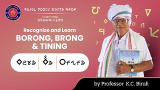 Recognise and Learn Borong, Brong and Tining by Prof. K.C. Biruli #Warangchiti