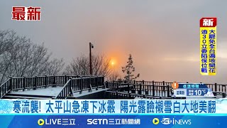 寒流襲! 太平山急凍下冰霰 陽光露臉襯雪白大地美翻 冷氣團襲! 太平山低溫探-1度 銀白世界再現降冰霰│記者 江俊緯 黃國瑞│新聞一把抓20250204│三立新聞台