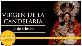 ✝️ El Santo Del Día De Hoy 2 de Febrero ✝️ Virgen de la Candelaria ✝️ @difundiendolapalabra