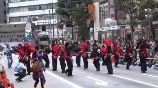 東京よさこい2014 ～ 瞬～きらら～