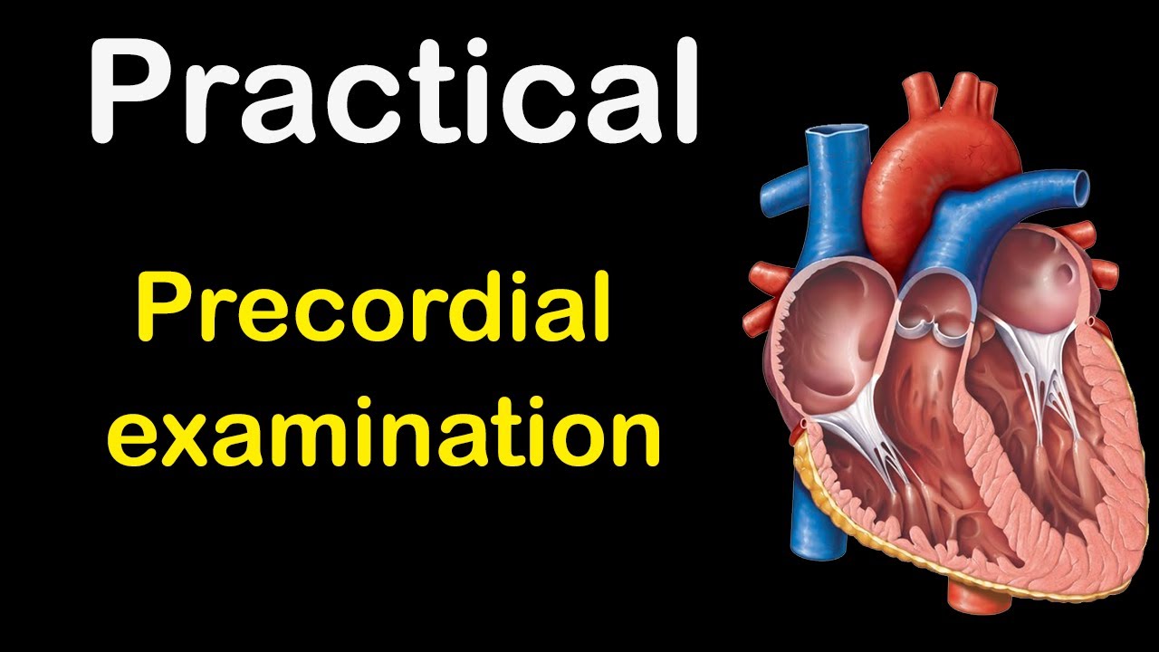 Cardiology: Precordial Examination - YouTube