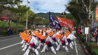 新煽組(パレード 審査演舞) Yosakoi 佐世保祭り2016 (日)