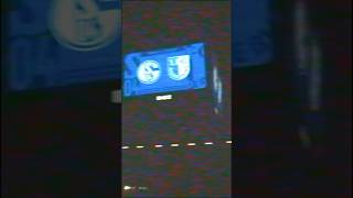 🎥⏪ Kurz-Recap vom Schalke-Spieltag