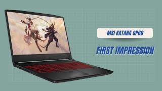 Budget Gaming? MSI Katana GP 66 first impression