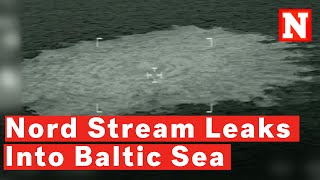 Videos Show Gas Bubbling In Baltic Sea After Nord Stream Leaks: 'Sabotage'