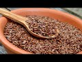 তিসির উপকারিতা তিসি খাওয়ার নিয়ম flax seeds benifits in bengali