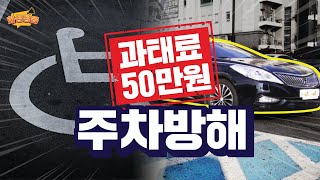 [화성정음EP. 8] 장애인전용주차구역 주차방해 🚗과태료 50만원⁉