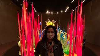 ଚାଲନ୍ତୁ ଦେଖିବା America ର ଗୋଟେ ସୁନ୍ଦର glass museum 😍| Chihuly Garden and glass