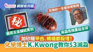 床蝨｜化學博士K.Kwong教用$3神器滅蝨　加入砂糖曱甴、螞蟻都死!｜開罐｜滅蟲｜滅蝨