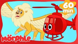 Magic Flying Lion in the Sky! | Morphle's Family | My Magic Pet Morphle | Kids Cartoons