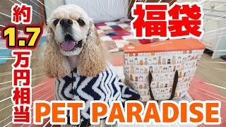 2021年PET PARADISE犬用福袋を開封したら中身が凄すぎた！！！