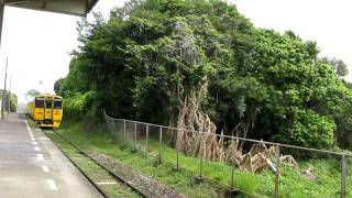 2011/5/4　快速「なのはな」(キハ200)通過@平川駅