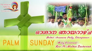 Oshana | ഓശാന ഞായറാഴ്ച | 2023  | Palm Sunday | വിശുദ്ധ കുർബാന : Fr. Mathai Zachariah | Bethel Pally