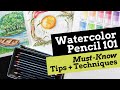 Watercolor Pencils for Beginners Must Know Tips and Techniques