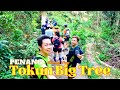 PENANG | Cherok Tokun Big Tree & Mengkuang Dam (25/2/2024) 4K