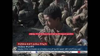 በጭፍራ ግንባር የተማረኩ የኢትዮጵያ ወታደሮች ሰራዊቱ እንደ ቅጠል እንደረገፈ ተናገሩ