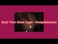 Bust Your Knee Caps - Pomplamoose {Lyrics - Tradução}