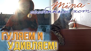 Тёпа - особенный кот! 😺 #5