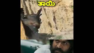 ತಾಯಿಗಿಂತ ದೊಡ್ಡ ಯೋಧ ಯಾರೂ ಇಲ್ಲ/#shorts #kgf #mother #maa #animals  #lovestatus #laxmibomb#kgfchapter2