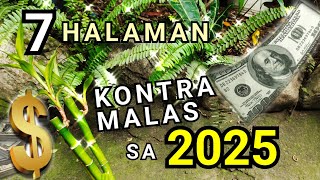 7 PLANTS THAT FIGHTS & ABSORB NEGATIVE ENERGY AT HOME FOR 2025 | KONTRA MALAS