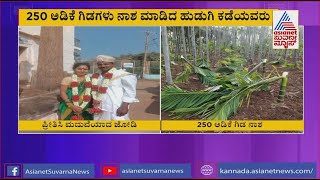 ಪ್ರೀತಿಸಿ ಮದುವೆಯಾಗಿದ್ದಕ್ಕೆ ಯುವತಿ ಪೋಷಕರ ಕೋಪ; 250 ಅಡಿಕೆ ಗಿಡಗಳ ನಾಶ !