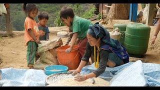 Picking corn kernels in the villagellRural village life Nepal
