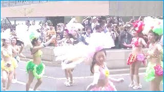 神戸サンバチーム2019神戸まつり SAMBA St. 開始から終了迄