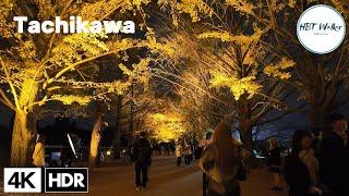 Experience TOKYO'S Hidden Gem Showa Memorial Park at Night in 4K HDR!