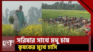 সরিষা চাষের সাথে বাড়তি লাভ হিসেবে খাঁটি মধু | Satkhira | News | Ekattor TV