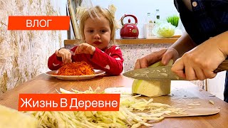 Одна С Детьми В Деревне/ Влог/купили Дом в деревне