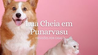 Lua Cheia em Punarvasu 13.01.2025  *Previsões por Casas*